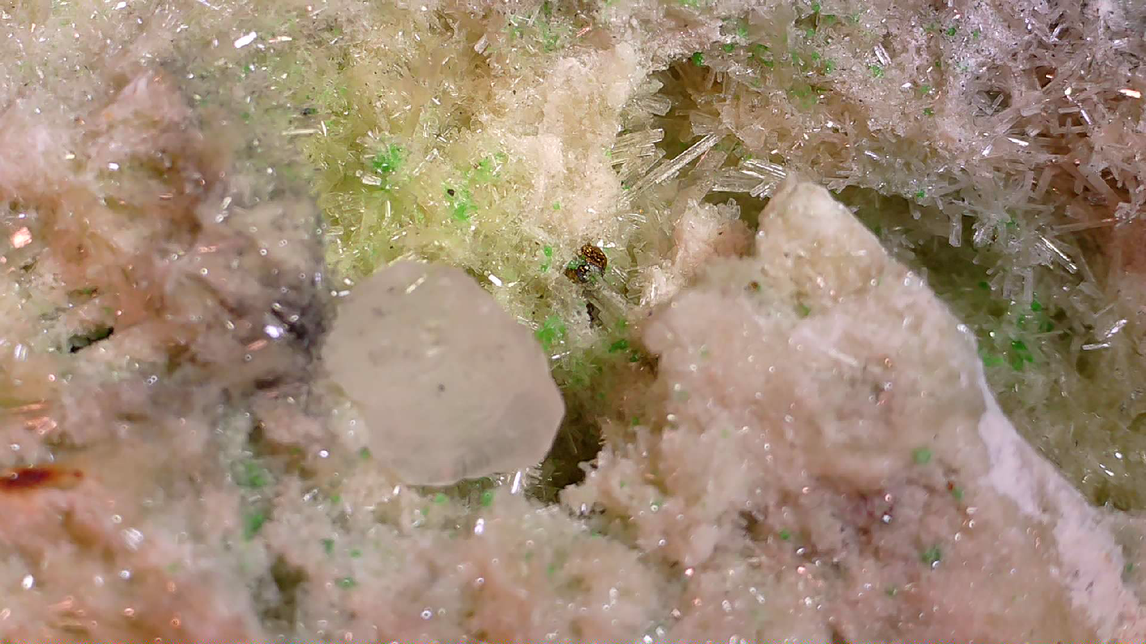 APOPHILLITE on BRUCITE, Avebury Mine Zeehan Dundas Tasmania (small cabinet)