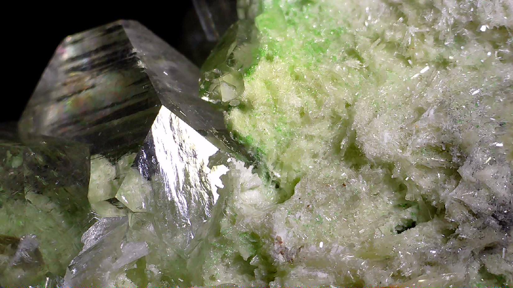 APOPHILLITE on BRUCITE, Avebury Mine Zeehan Dundas Tasmania (small cabinet)