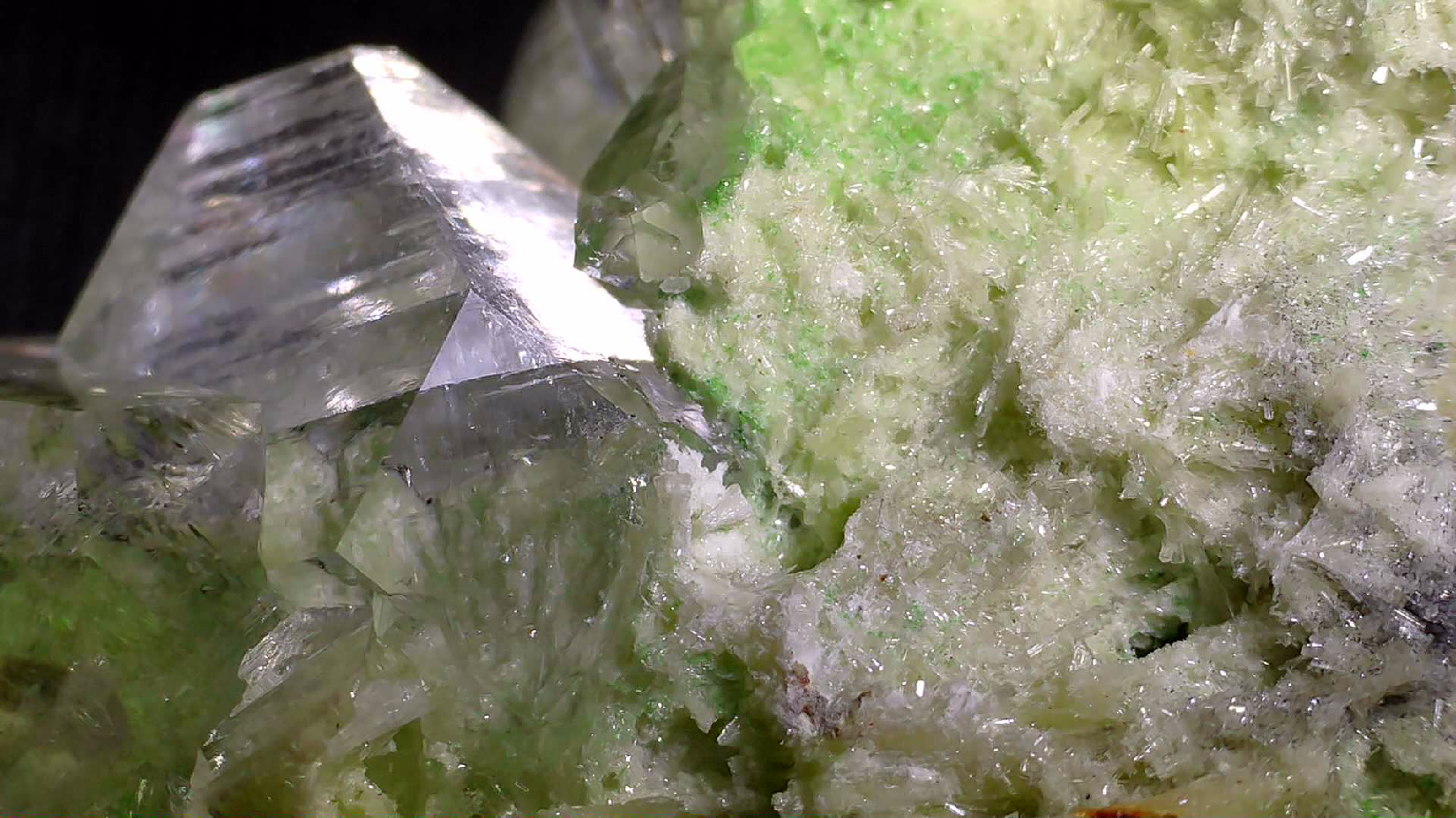 APOPHILLITE on BRUCITE, Avebury Mine Zeehan Dundas Tasmania (small cabinet)