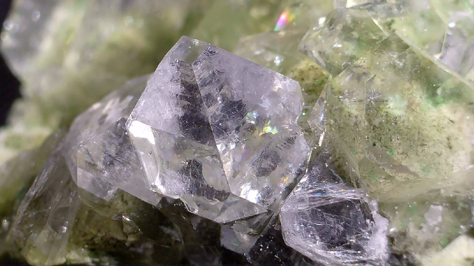 APOPHILLITE on BRUCITE, Avebury Mine Zeehan Dundas Tasmania (small cabinet)