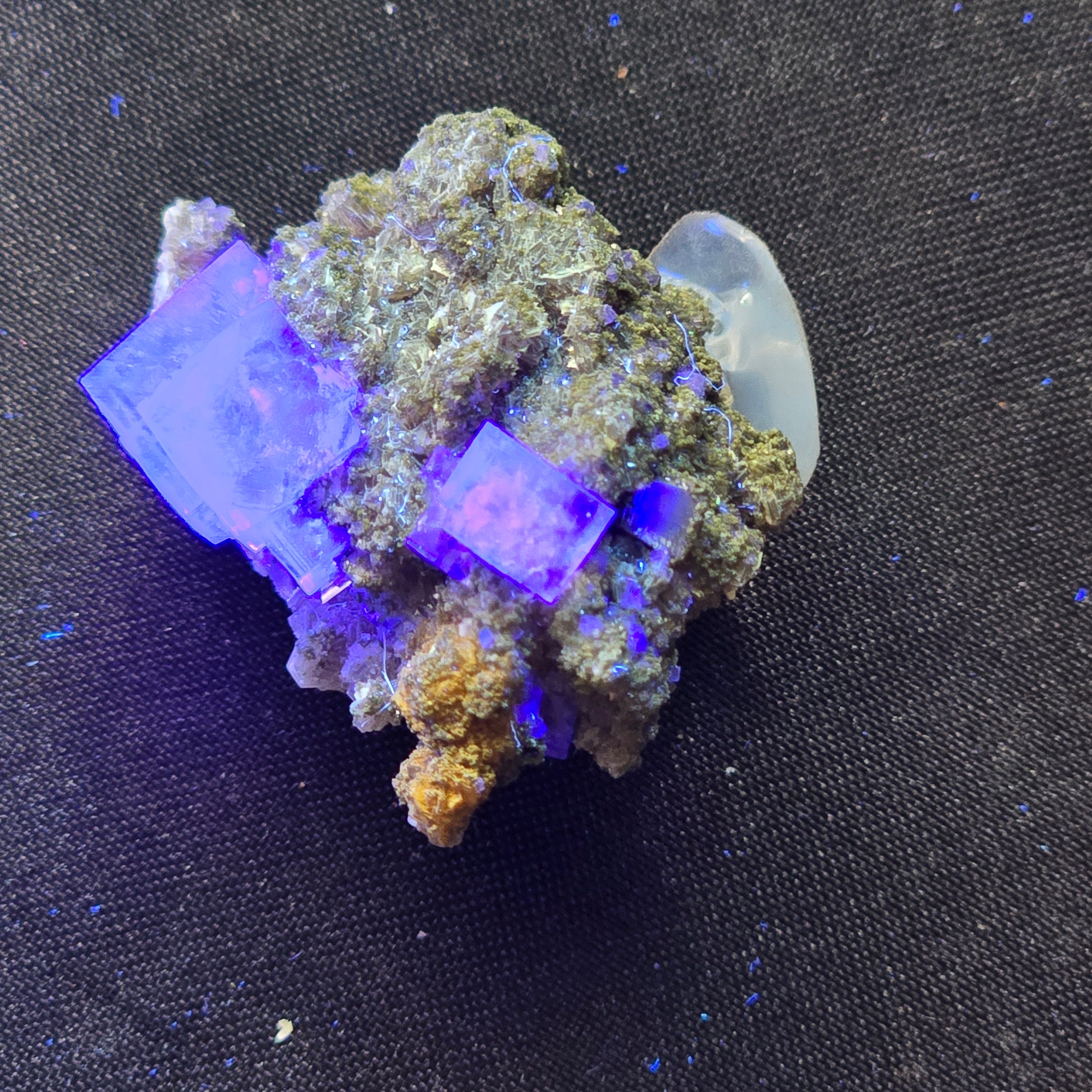 FLUORITE BLUE, BINGHAM, SOROCCO CO, NJ, USA (miniature)