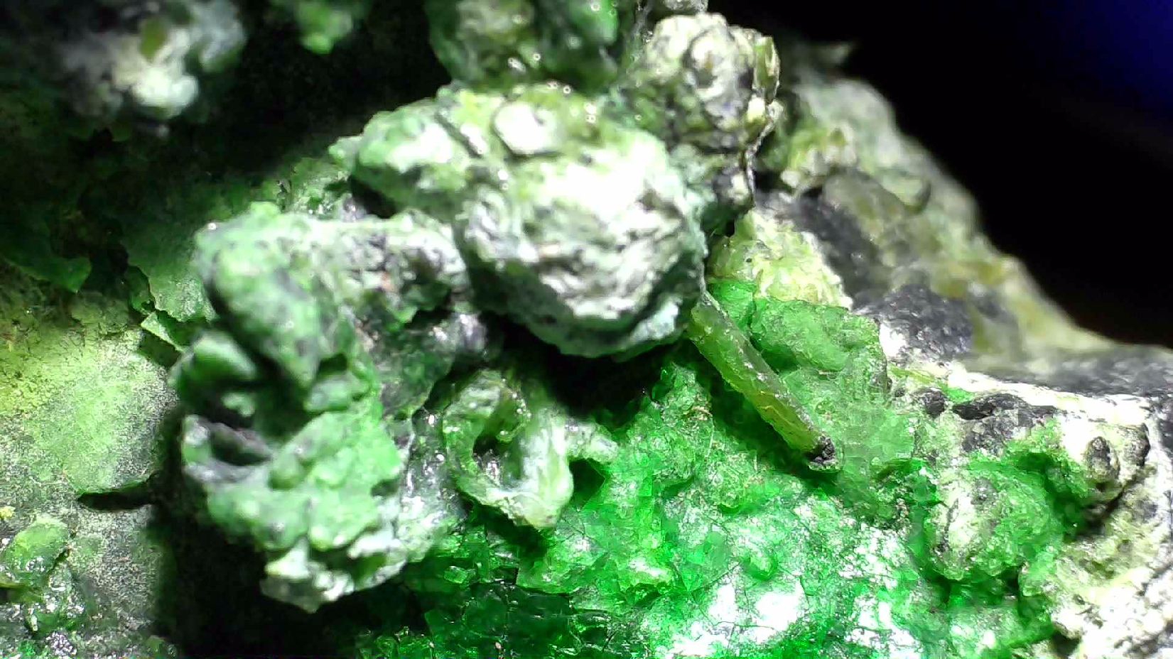 HELLYERITE AVEC HAEZLEWOODITE, MINE LORD BRASSEY, TASMANIE (miniature)