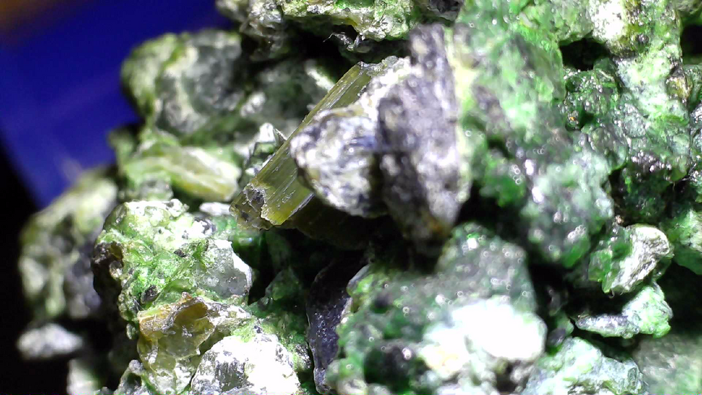 HELLYERITE AVEC HAEZLEWOODITE, MINE LORD BRASSEY, TASMANIE (miniature)