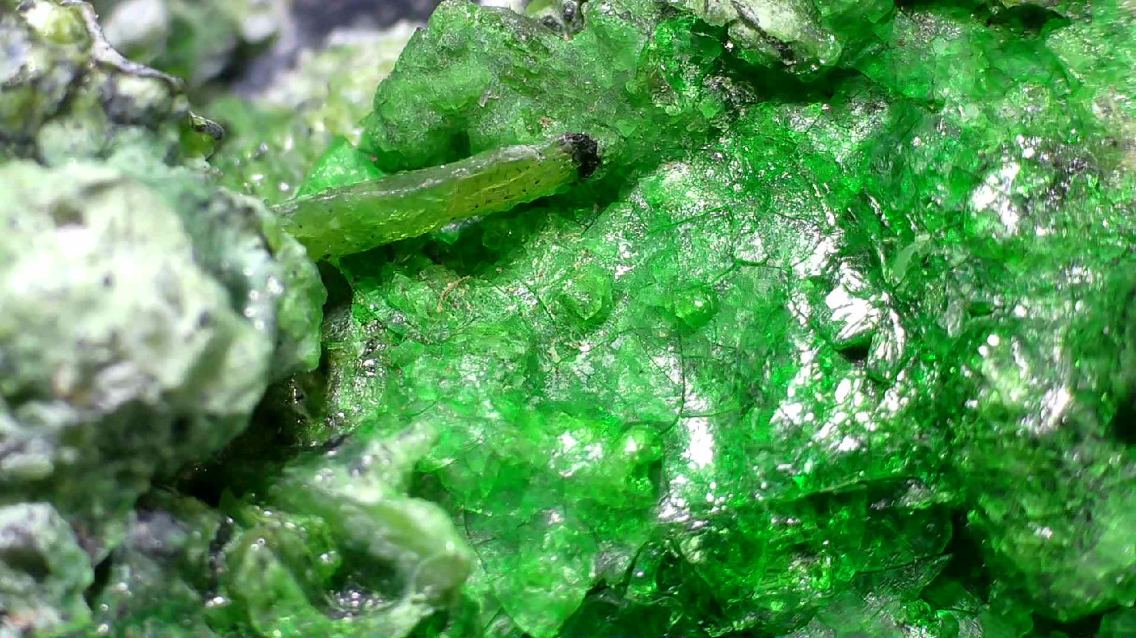 HELLYERITE AVEC HAEZLEWOODITE, MINE LORD BRASSEY, TASMANIE (miniature)