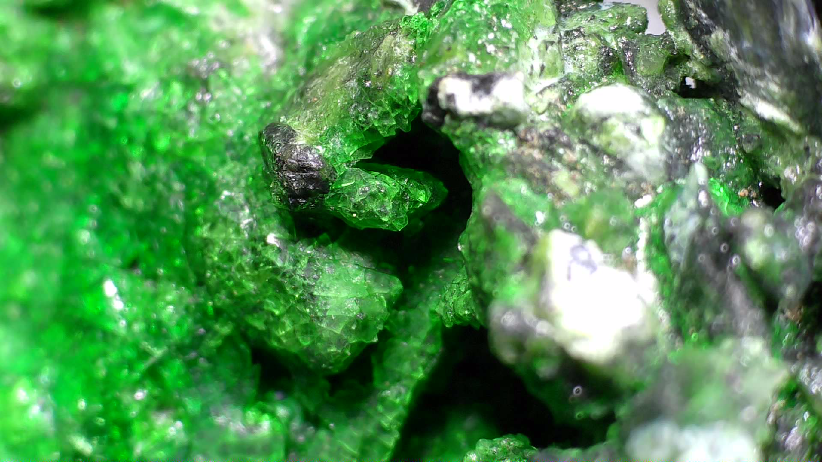 HELLYERITE AVEC HAEZLEWOODITE, MINE LORD BRASSEY, TASMANIE (miniature)