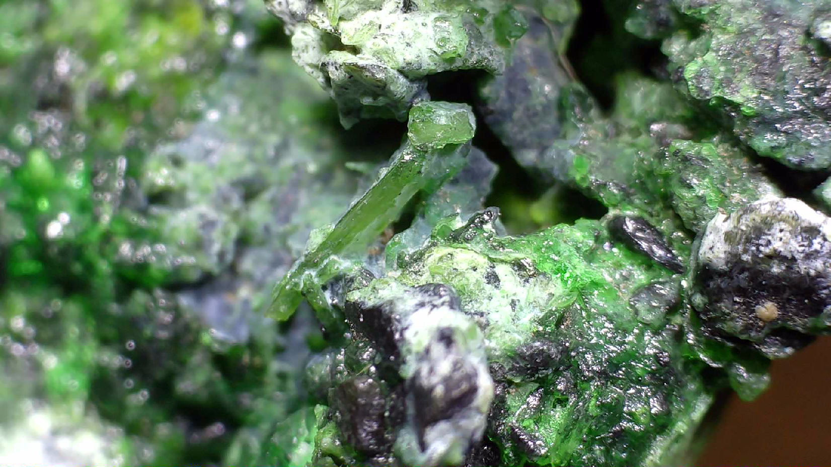 HELLYERITE AVEC HAEZLEWOODITE, MINE LORD BRASSEY, TASMANIE (miniature)