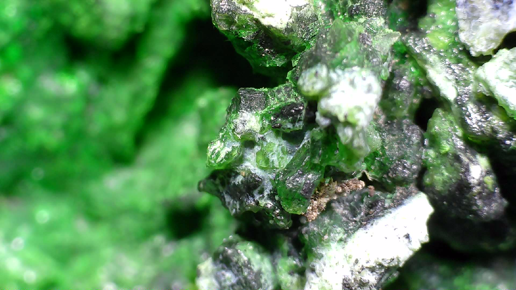 HELLYERITE AVEC HAEZLEWOODITE, MINE LORD BRASSEY, TASMANIE (miniature)