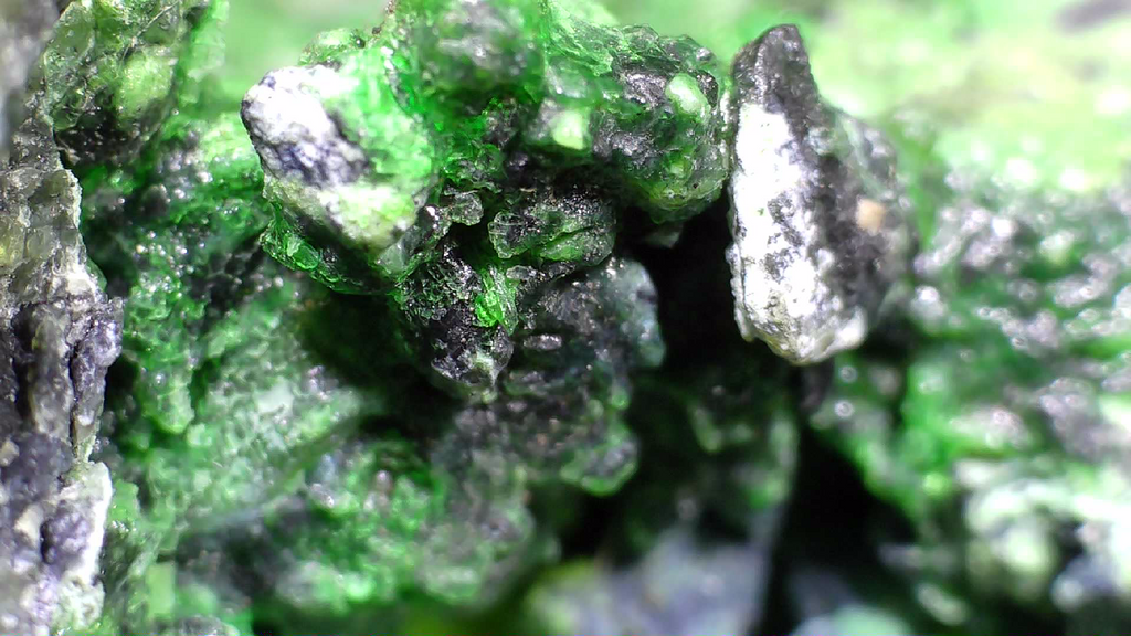 HELLYERITE AVEC HAEZLEWOODITE, MINE LORD BRASSEY, TASMANIE (miniature)