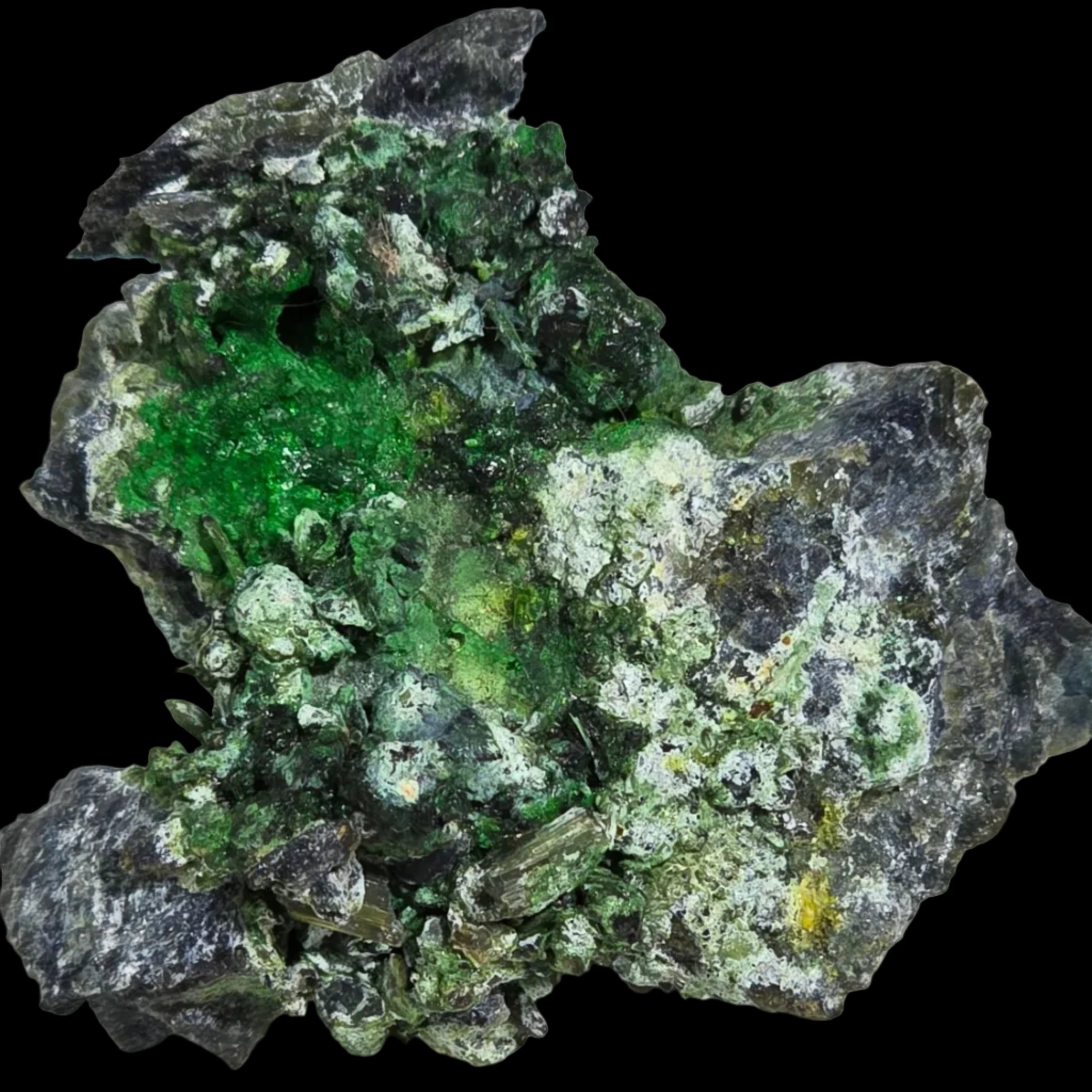 HELLYERITE AVEC HAEZLEWOODITE, MINE LORD BRASSEY, TASMANIE (miniature)