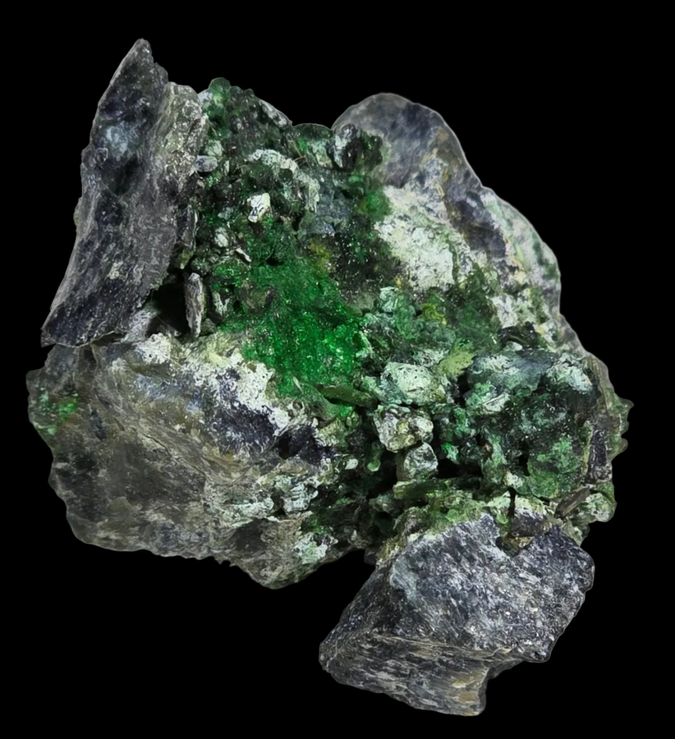 HELLYERITE AVEC HAEZLEWOODITE, MINE LORD BRASSEY, TASMANIE (miniature)