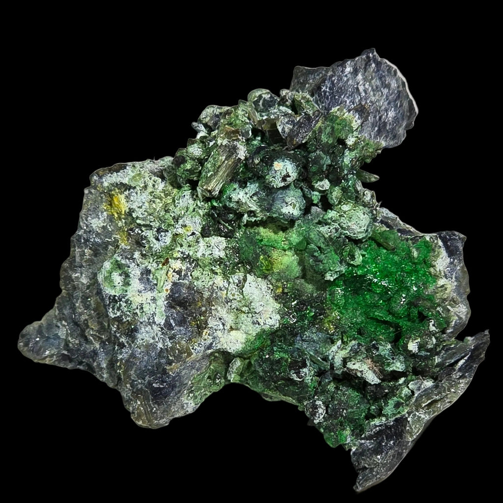 HELLYERITE AVEC HAEZLEWOODITE, MINE LORD BRASSEY, TASMANIE (miniature)