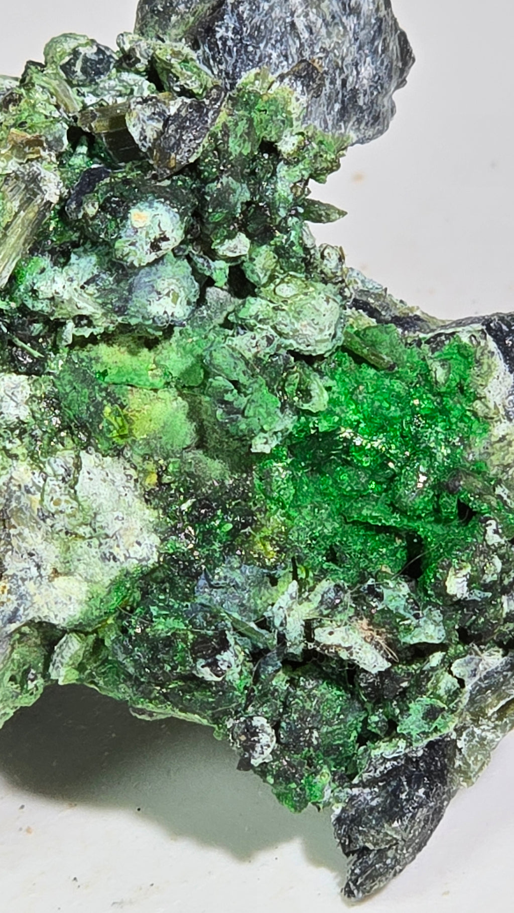 HELLYERITE AVEC HAEZLEWOODITE, MINE LORD BRASSEY, TASMANIE (miniature)