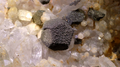 CALCITE, PYRITE recouverte de BRAVOITE, QUARTZ, MINE MMG, ROSEBERY, TASMANIE