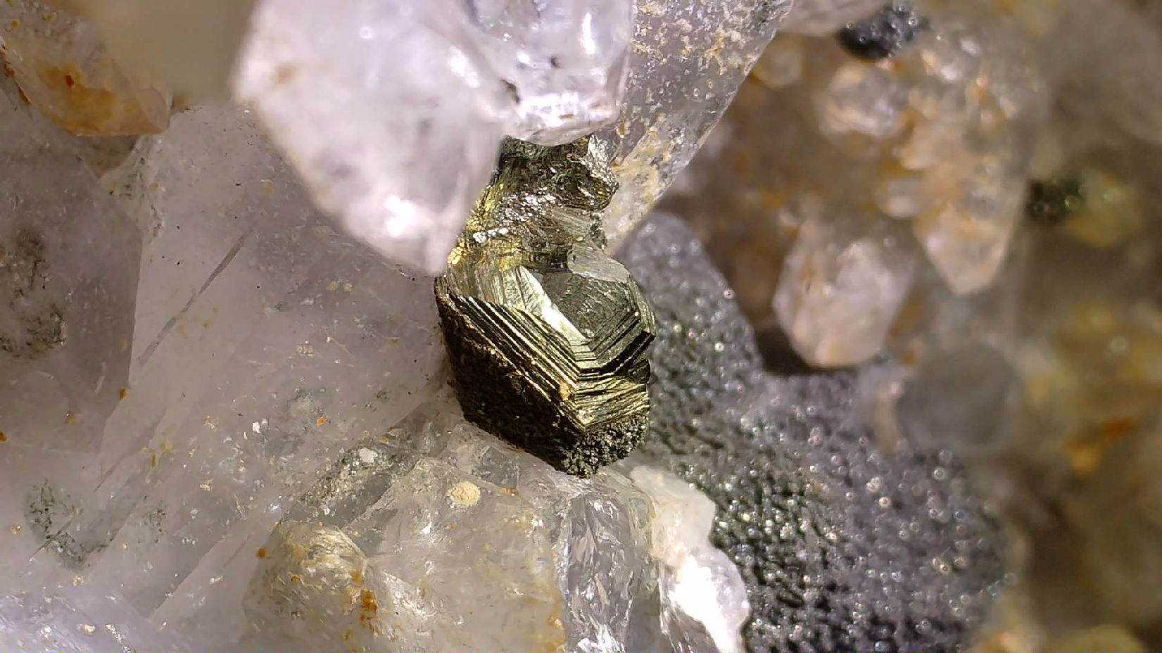 CALCITE, PYRITE recouverte de BRAVOITE, QUARTZ, MINE MMG, ROSEBERY, TASMANIE