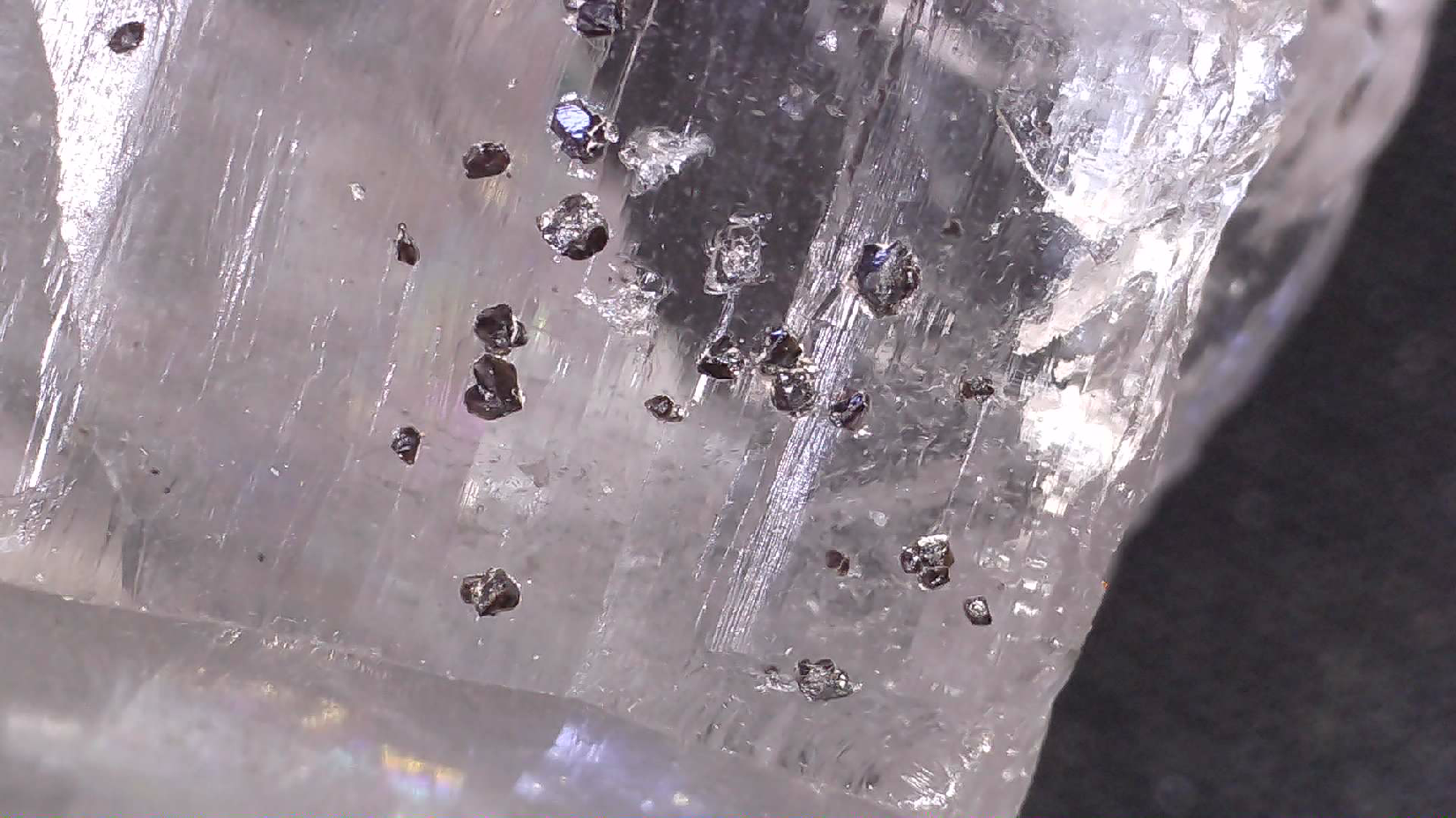 QUARTZ AVEC CASSITERITE, ÉPIER D'ÉTAIN LORINNA TASMANIE