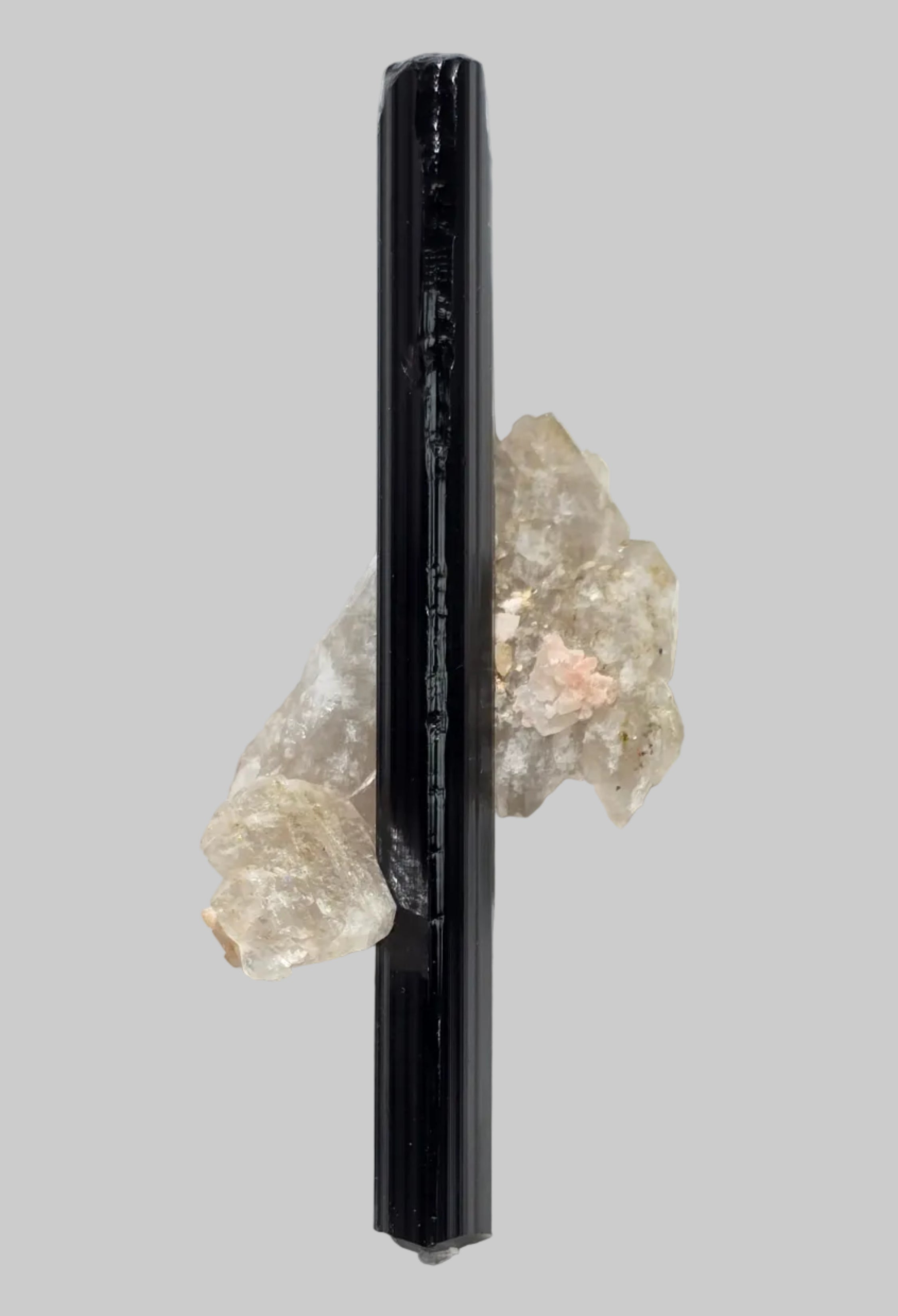 Tourmaline d'Elbaïte sur quartz, Golconde, Minas Gerais, Brésil (petit coffret), cristal de 77 mm