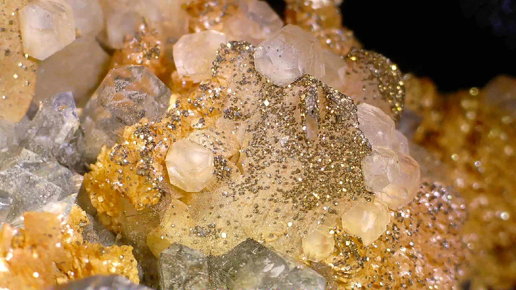 Quartz with Pyrite crystals from classic locality, sparkling golden inclusions on clear mineral specimens