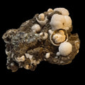 Calcite on Galena mineral specimen from classic locality, featuring white botryoidal formations and metallic crystals