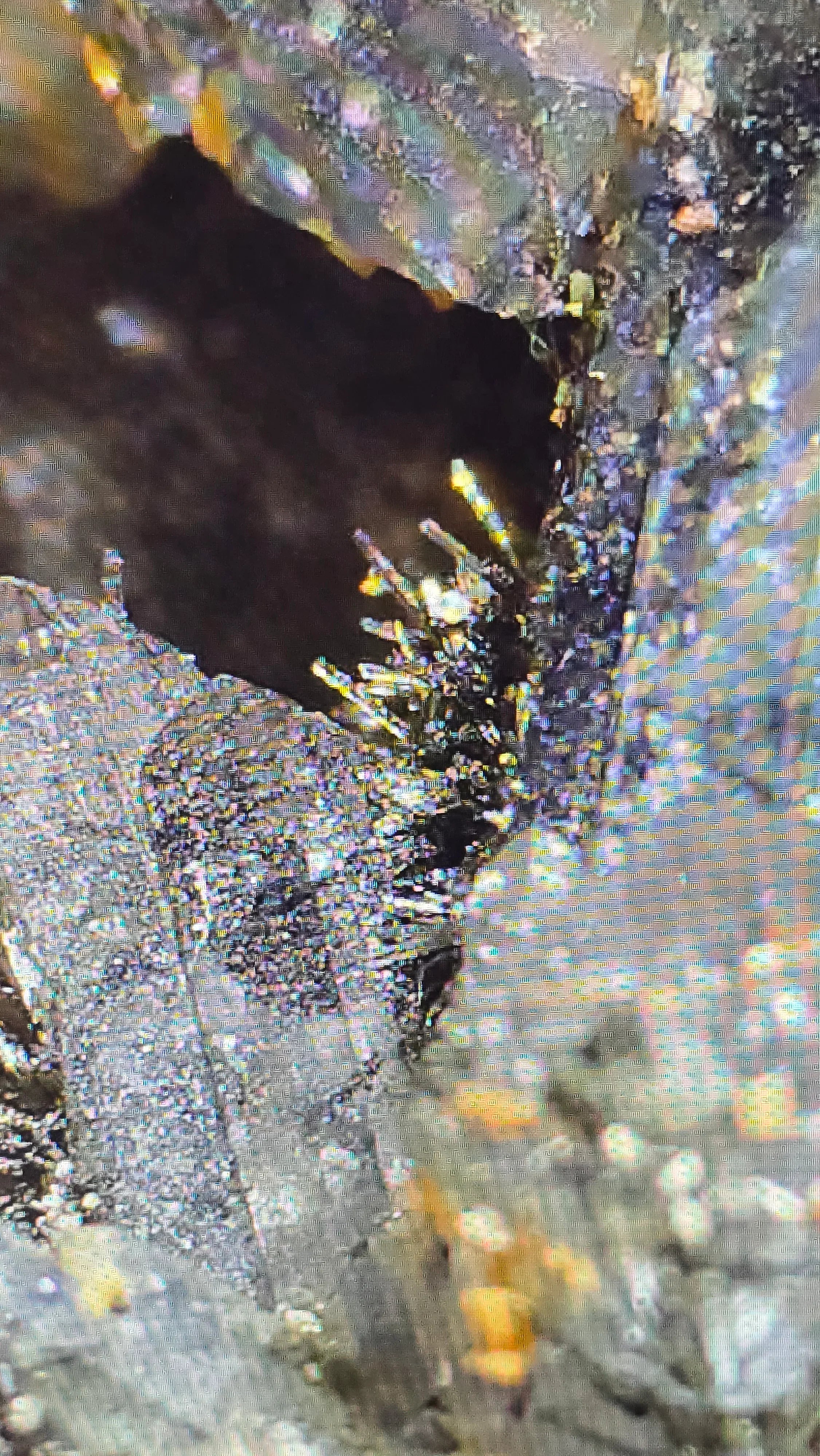 Pyrite crystals on matrix, iridescent mineral specimen with golden hues