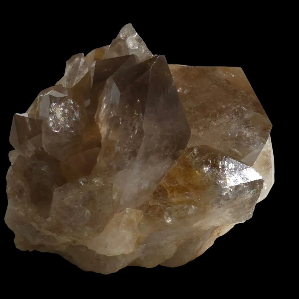 quartz-badger-head-2571-54 - Crystals2Collect