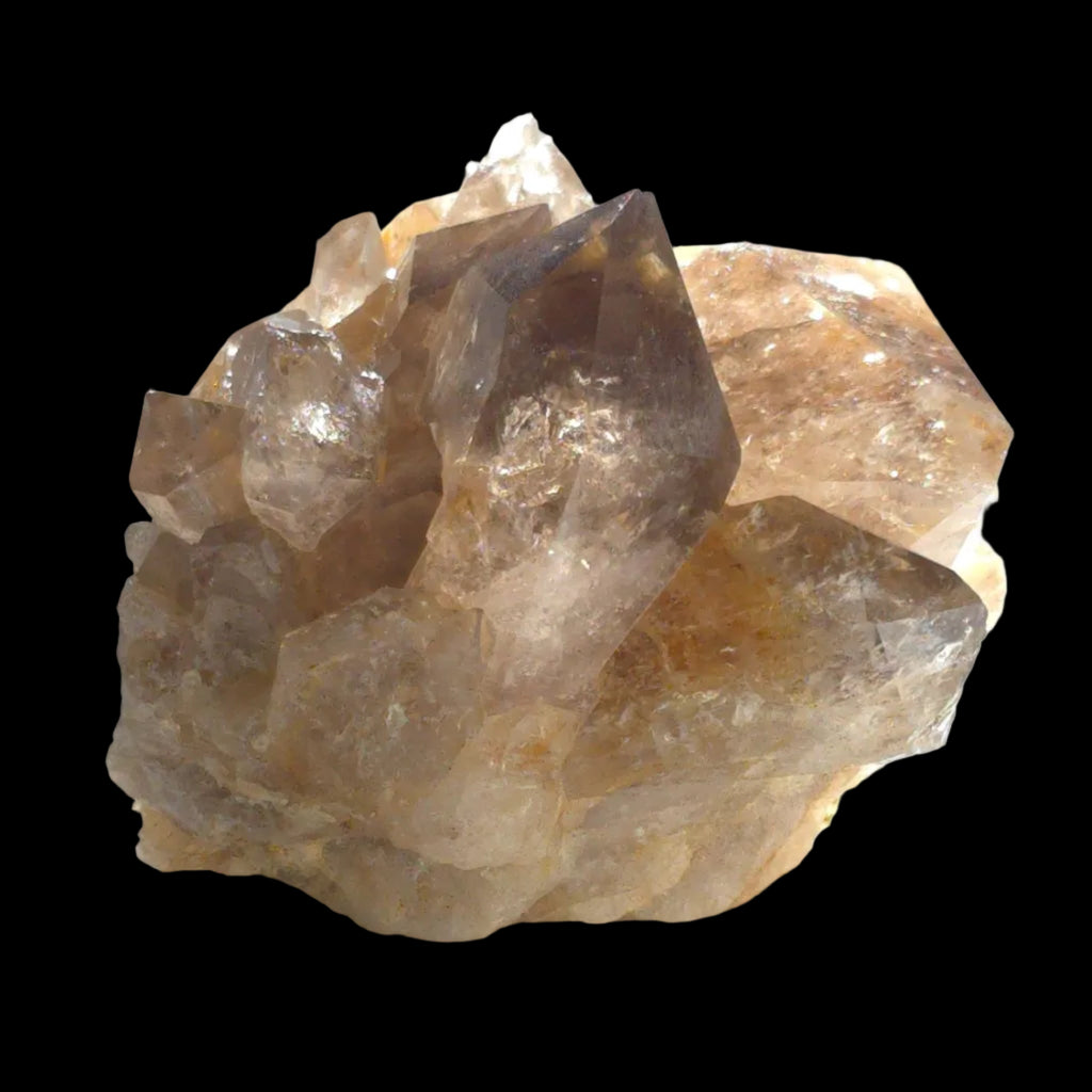 quartz-badger-head-2571-54 - Crystals2Collect