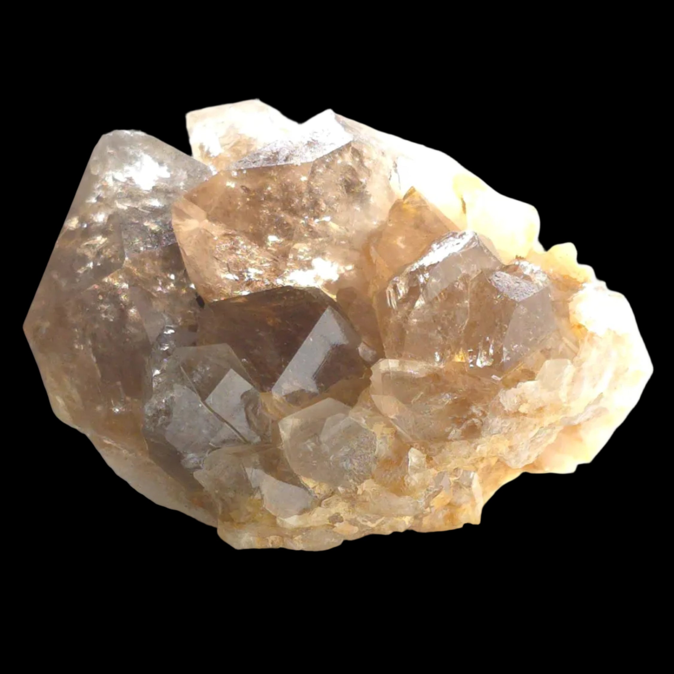 quartz-badger-head-2571-54 - Crystals2Collect
