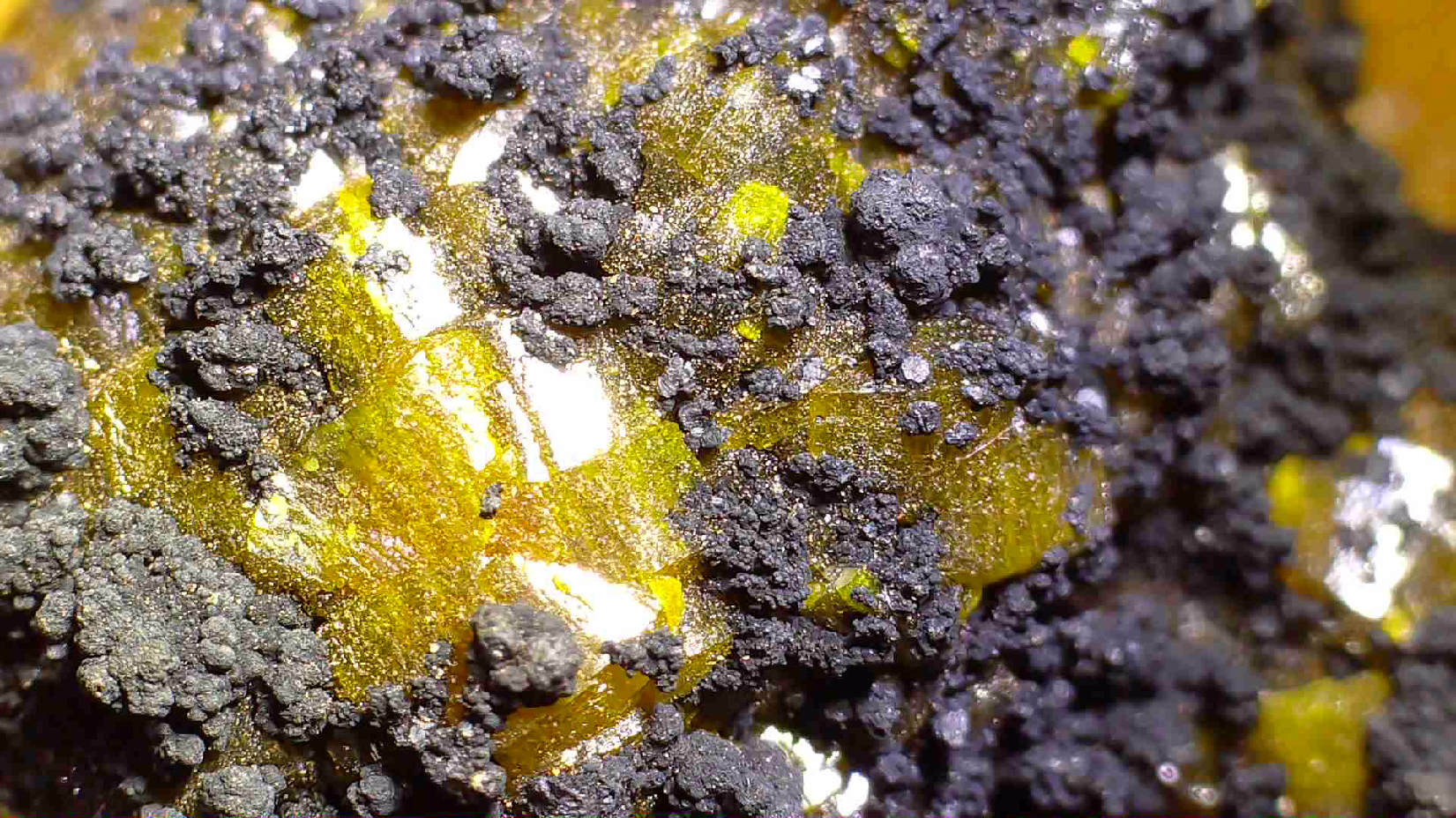 campylite-with-plattnerite-2590-54 - Crystals2Collect