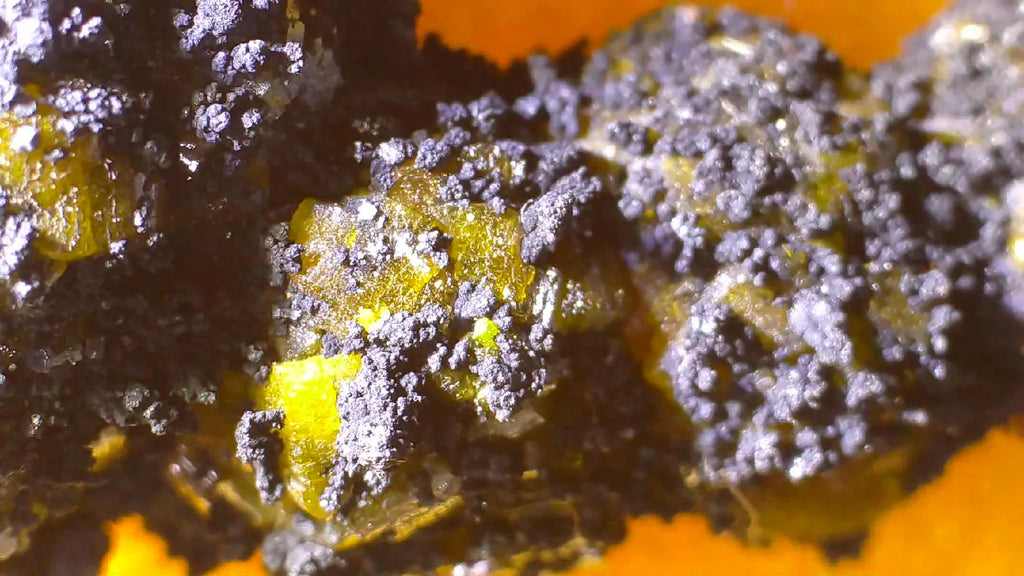 Vibrant yellow crystals embedded in dark matrix, showcasing natural mineral formation details