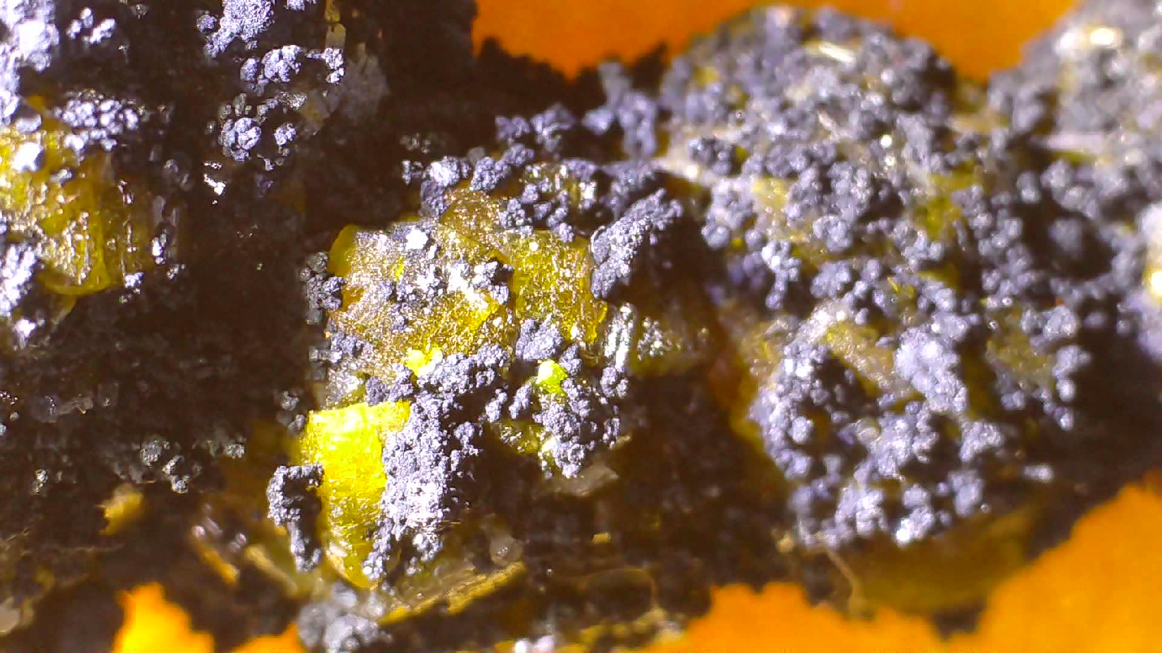 campylite-with-plattnerite-2590-54 - Crystals2Collect