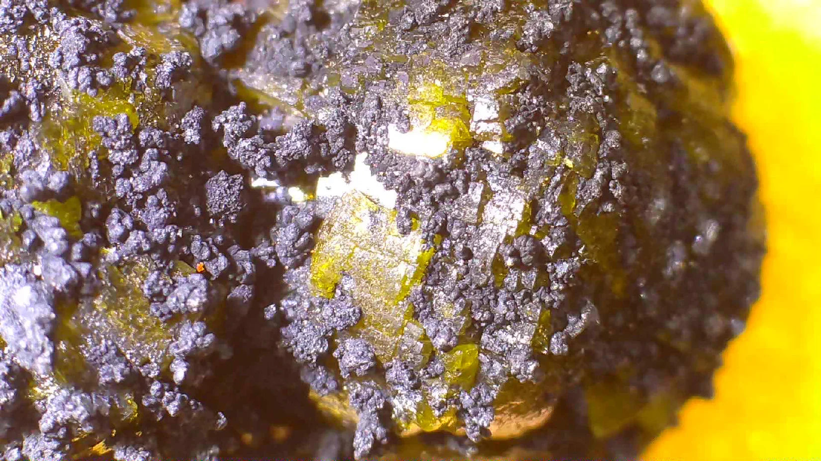 Sphalerite on Galena specimen, metallic luster, yellow-gold crystals embedded in dark matrix