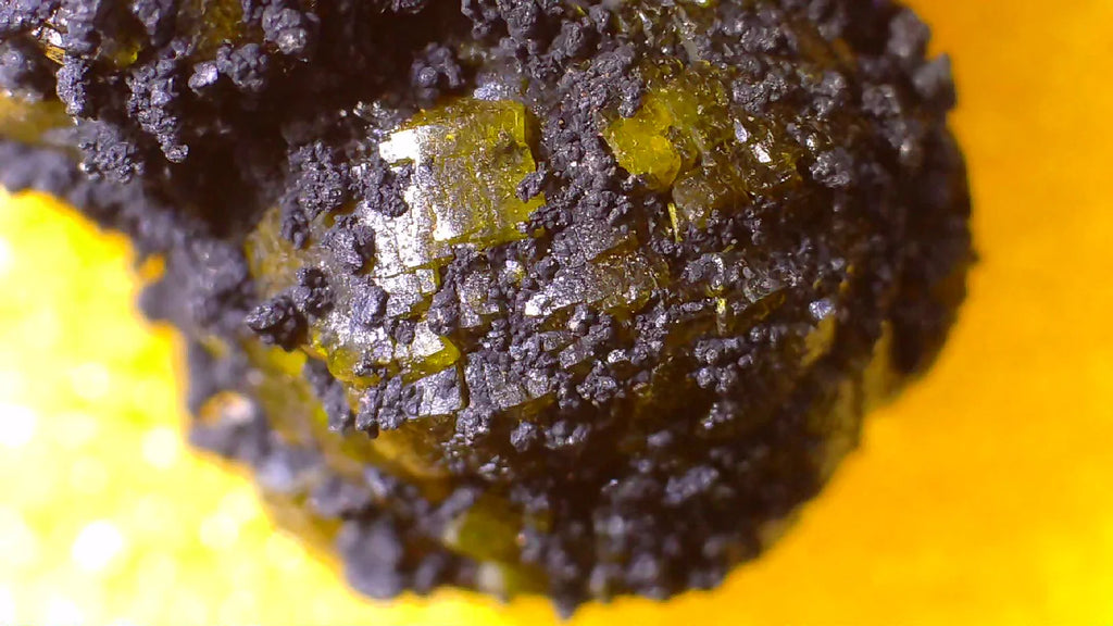Sphalerite crystals on matrix, vibrant yellow-gold cubic formations against dark host rock