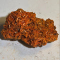 crocoite-miniature-red-lead-mine-2599-54 - Crystals2Collect