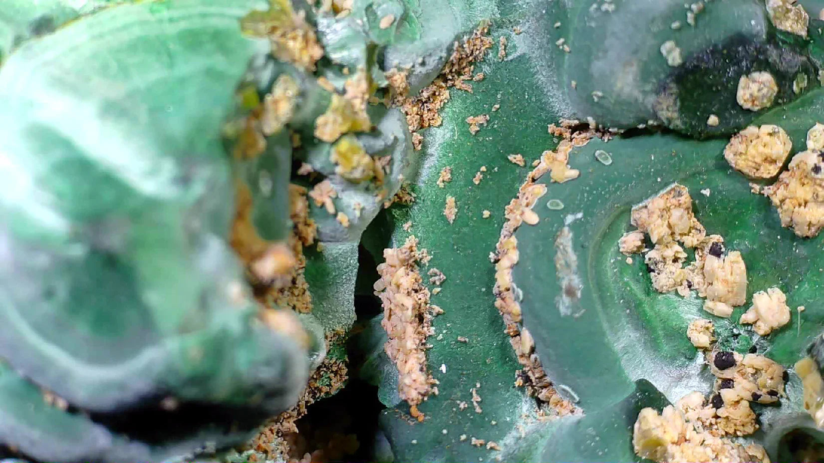 Malachite with Chrysocolla from Congo, vibrant green mineral specimen with earthy textures