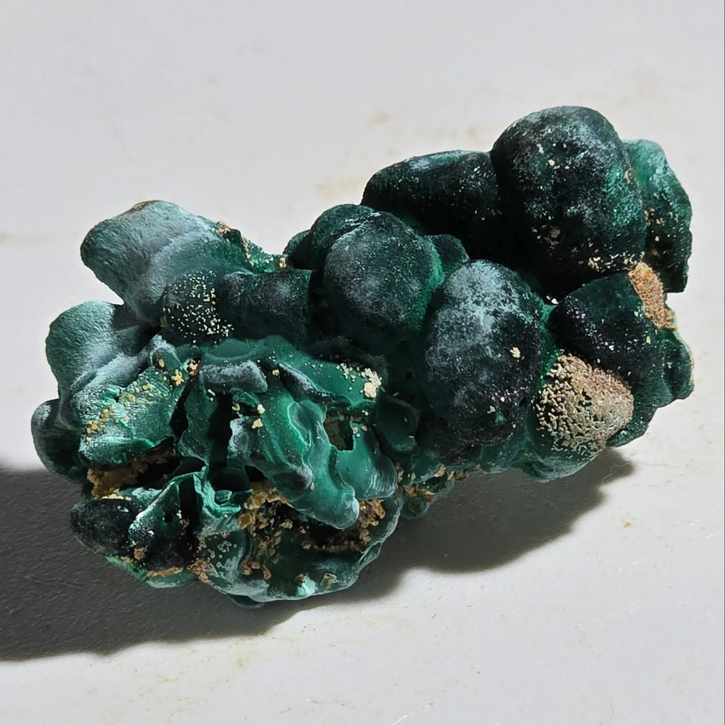 Malachite mineral specimen with botryoidal green formations and earthy matrix, ideal for collectors