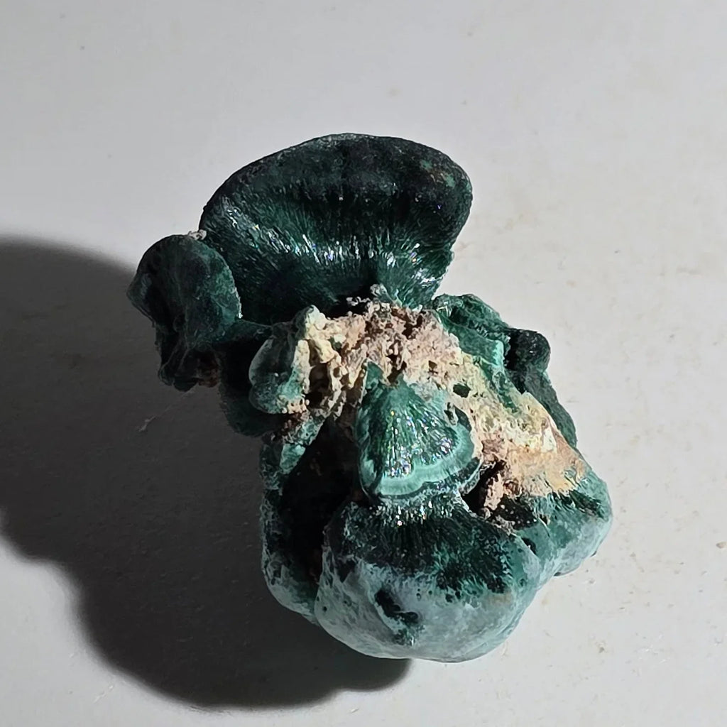 Malachite mineral specimen with botryoidal texture, green copper carbonate crystal formation on matrix