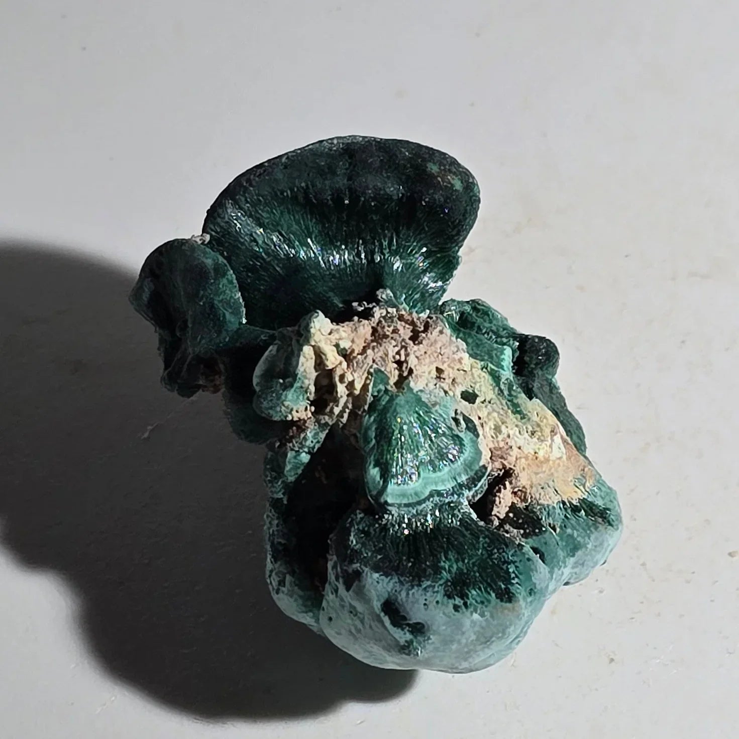 Malachite mineral specimen with botryoidal texture, green copper carbonate crystal formation on matrix