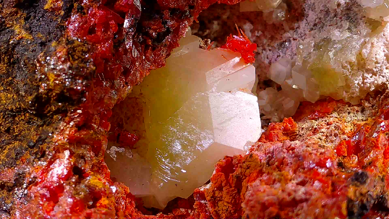 KROKOIT MIT CERUSSIT (small cabinet) SEHR SELTENE UND UNGEWÖHNLICHE KOMBINATION, RED LEAD MINE, TASMANIEN