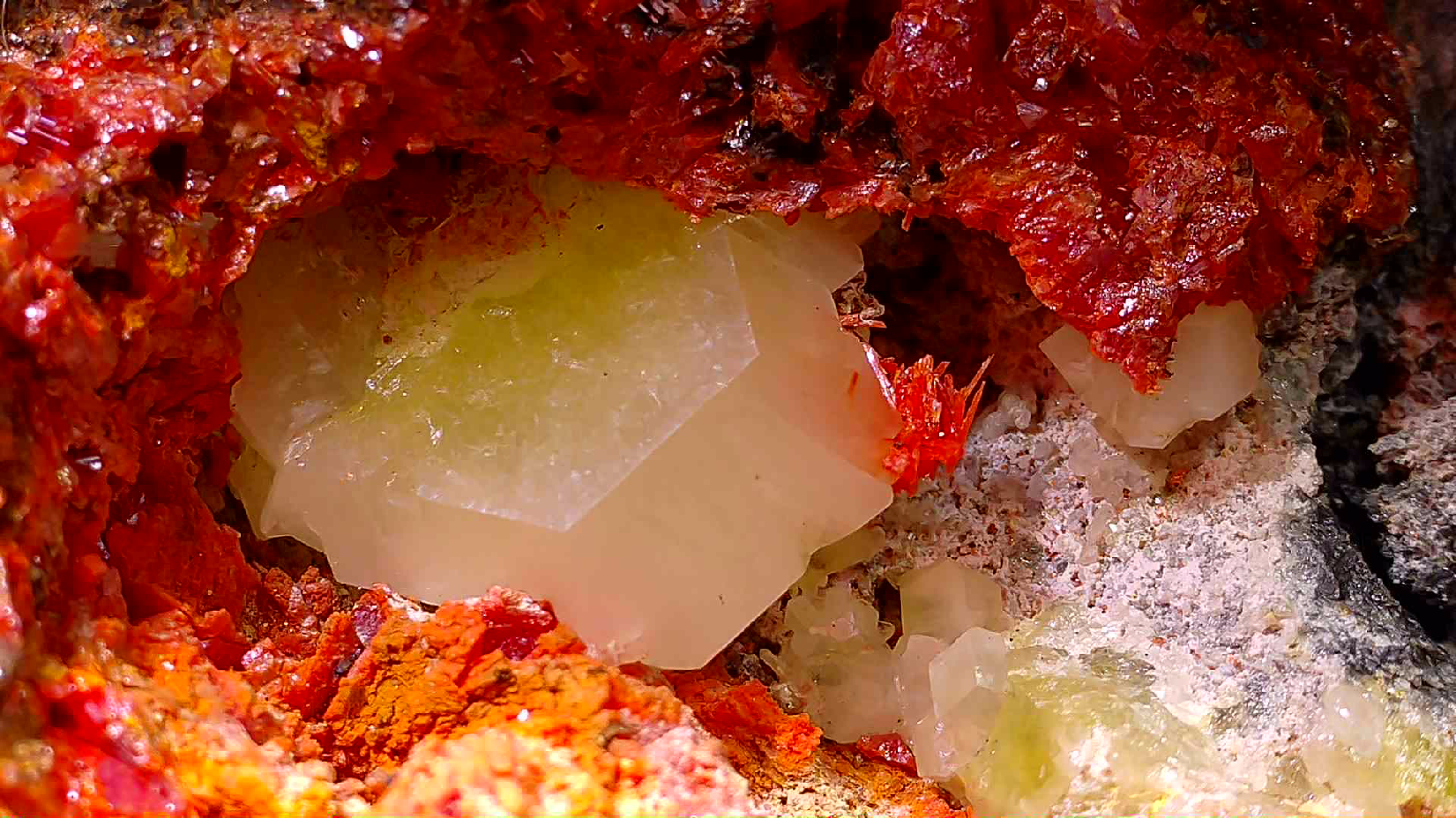 KROKOIT MIT CERUSSIT (small cabinet) SEHR SELTENE UND UNGEWÖHNLICHE KOMBINATION, RED LEAD MINE, TASMANIEN