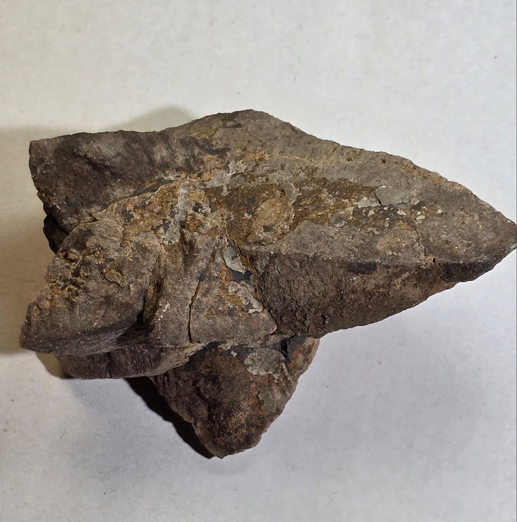GLENDONITE, Calcite ps after ikaite, Henrietta, Tasmania, Australia