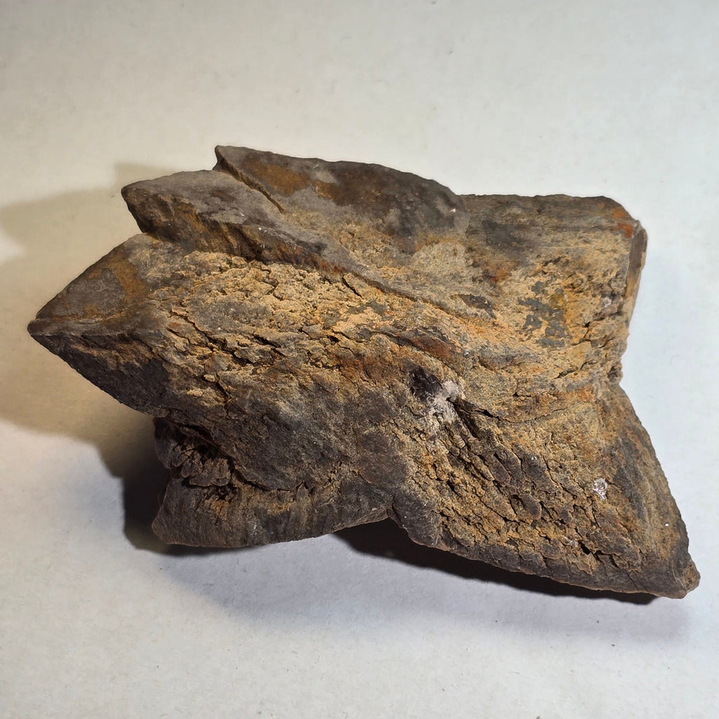 GLENDONITE, Calcite ps after ikaite, Henrietta, Tasmania, Australia
