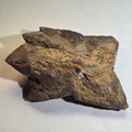 GLENDONITE, Calcite ps after ikaite, Henrietta, Tasmania, Australia
