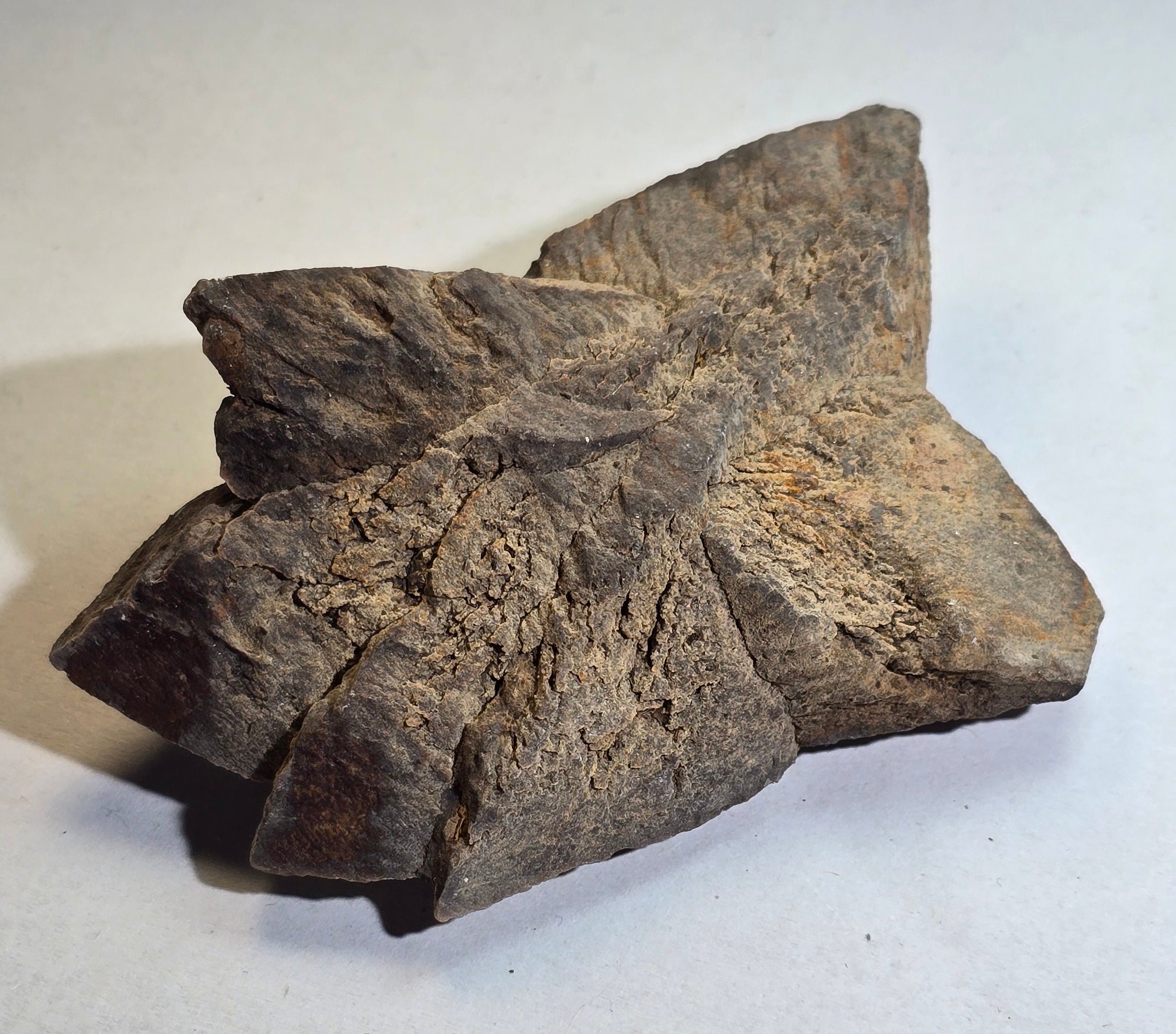GLENDONITE, Calcite ps after ikaite, Henrietta, Tasmania, Australia