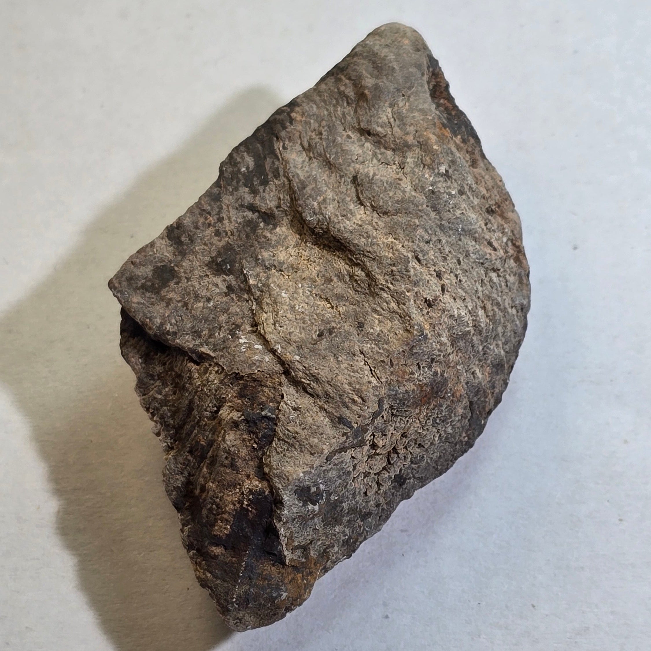 GLENDONITE, Calcite ps after ikaite, Henrietta, Tasmania, Australia