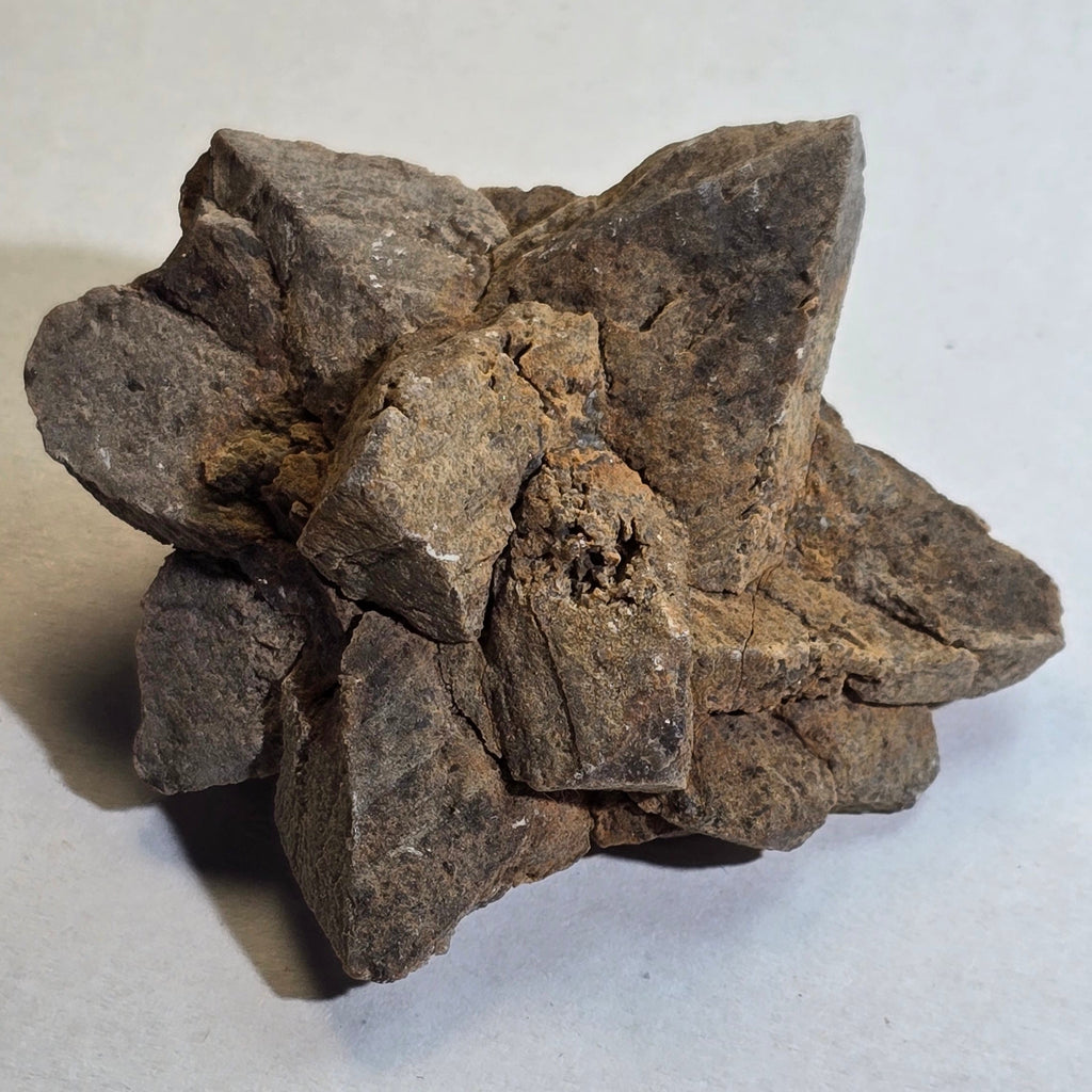 GLENDONITE, Calcite ps after ikaite, Henrietta, Tasmania, Australia