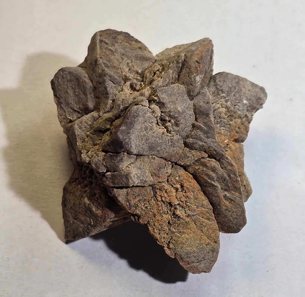 GLENDONITE, Calcite ps after ikaite, Henrietta, Tasmania, Australia