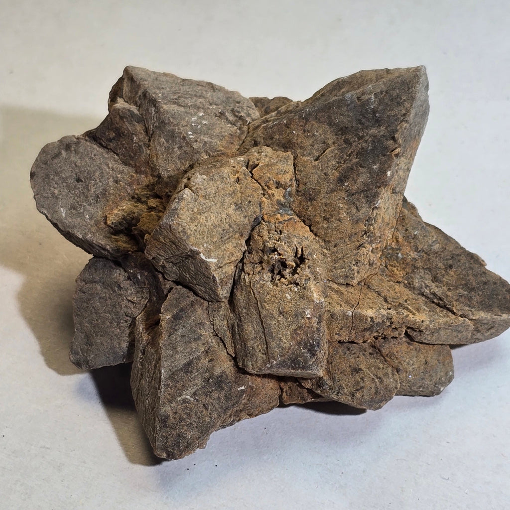 GLENDONITE, Calcite ps after ikaite, Henrietta, Tasmania, Australia