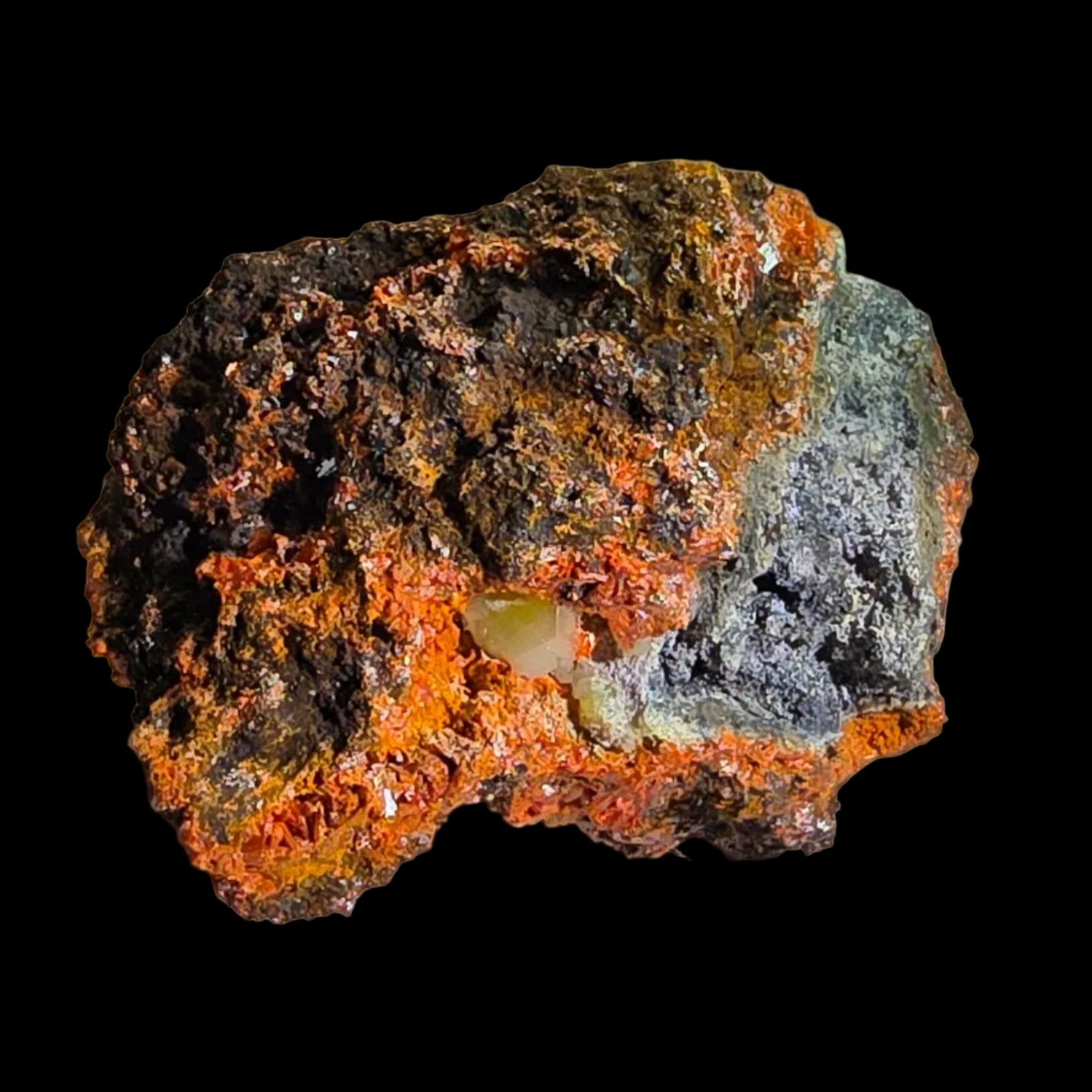 KROKOIT MIT CERUSSIT (small cabinet) SEHR SELTENE UND UNGEWÖHNLICHE KOMBINATION, RED LEAD MINE, TASMANIEN
