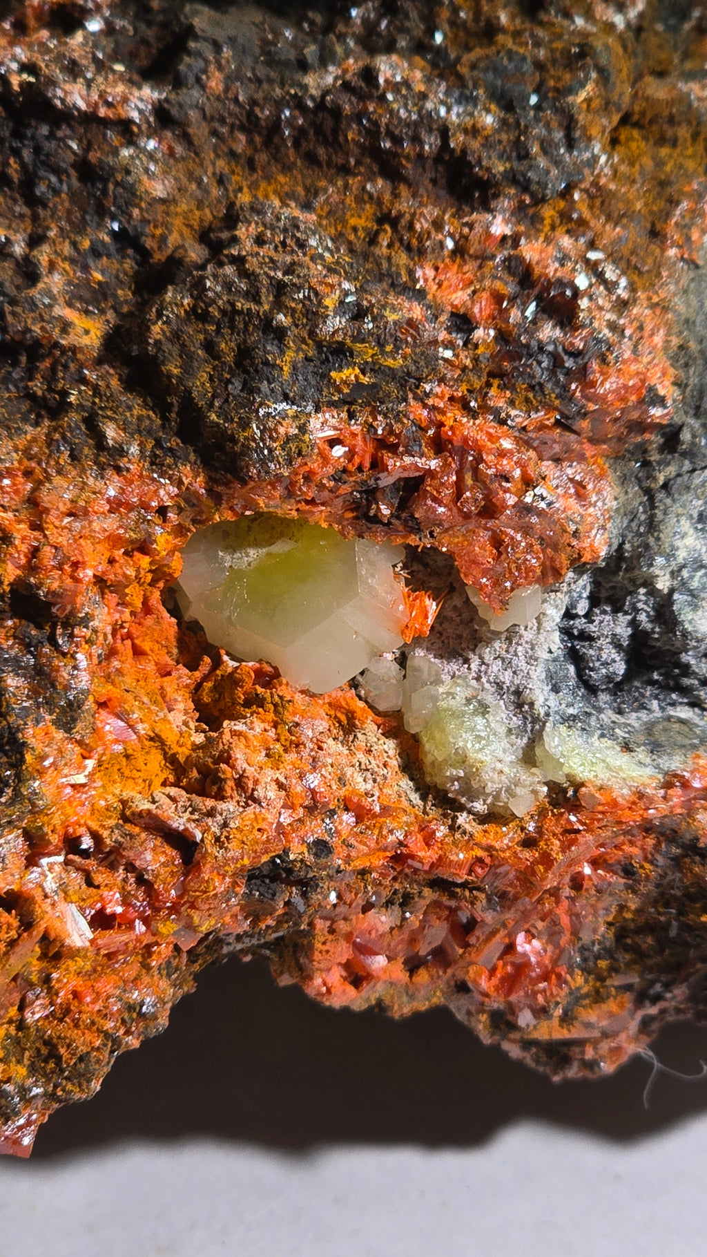 KROKOIT MIT CERUSSIT (small cabinet) SEHR SELTENE UND UNGEWÖHNLICHE KOMBINATION, RED LEAD MINE, TASMANIEN