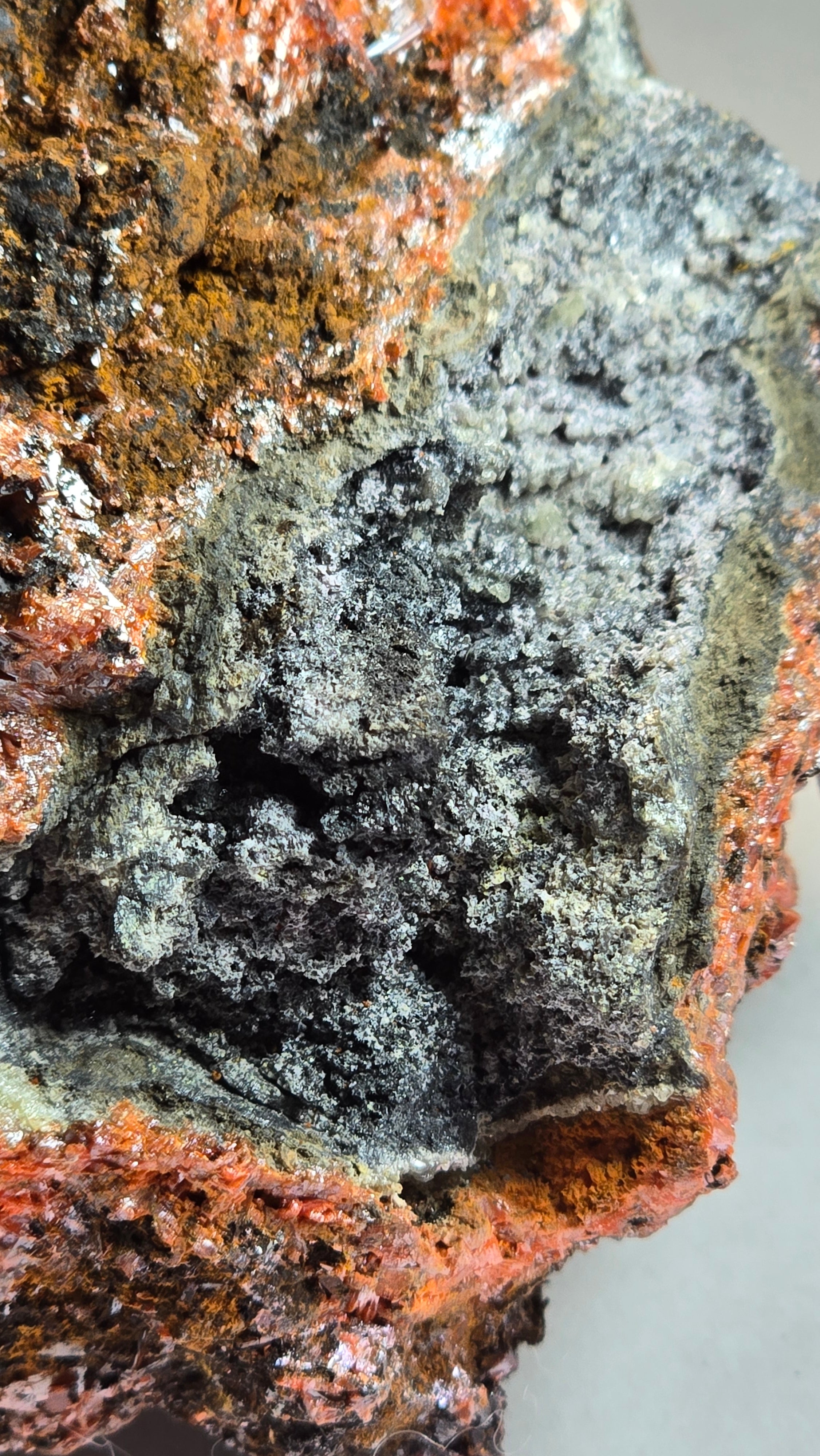 KROKOIT MIT CERUSSIT (small cabinet) SEHR SELTENE UND UNGEWÖHNLICHE KOMBINATION, RED LEAD MINE, TASMANIEN