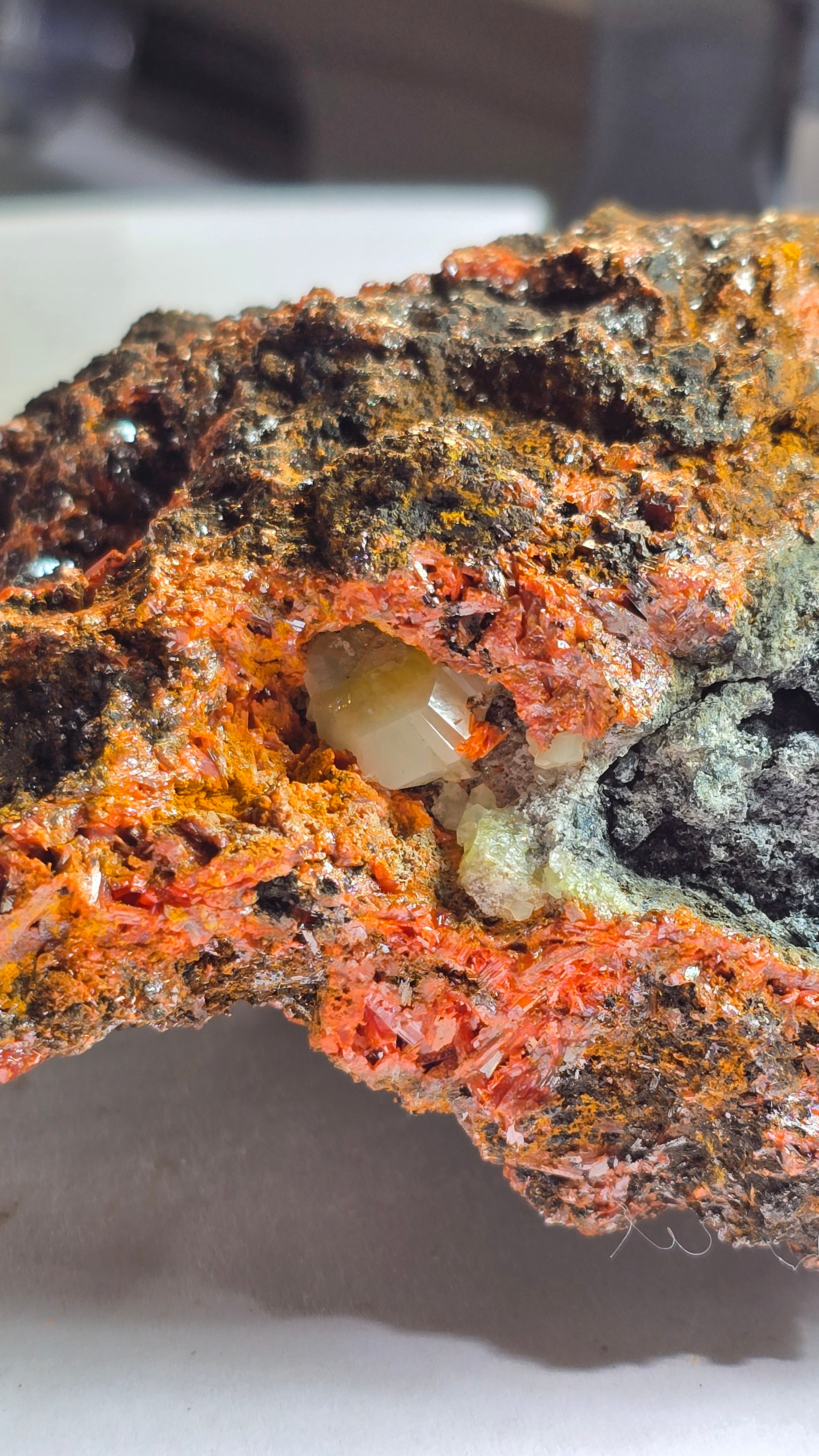 KROKOIT MIT CERUSSIT (small cabinet) SEHR SELTENE UND UNGEWÖHNLICHE KOMBINATION, RED LEAD MINE, TASMANIEN